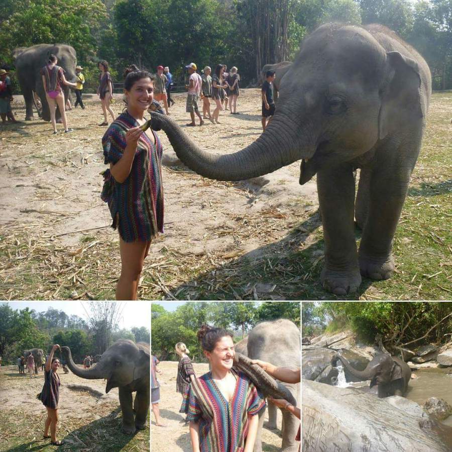 FB_IMG_1460280741056