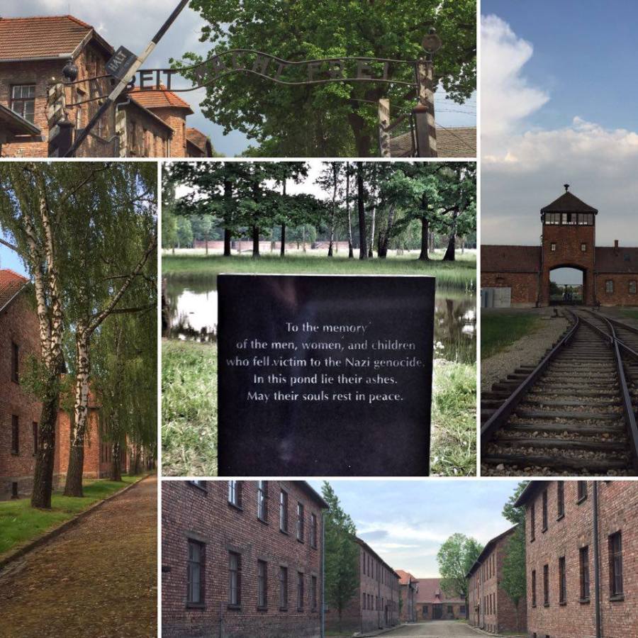 13329669_10153654779007960_446003557_n