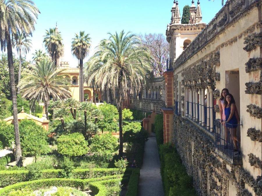 13689547_10153762217117960_2100786592_n