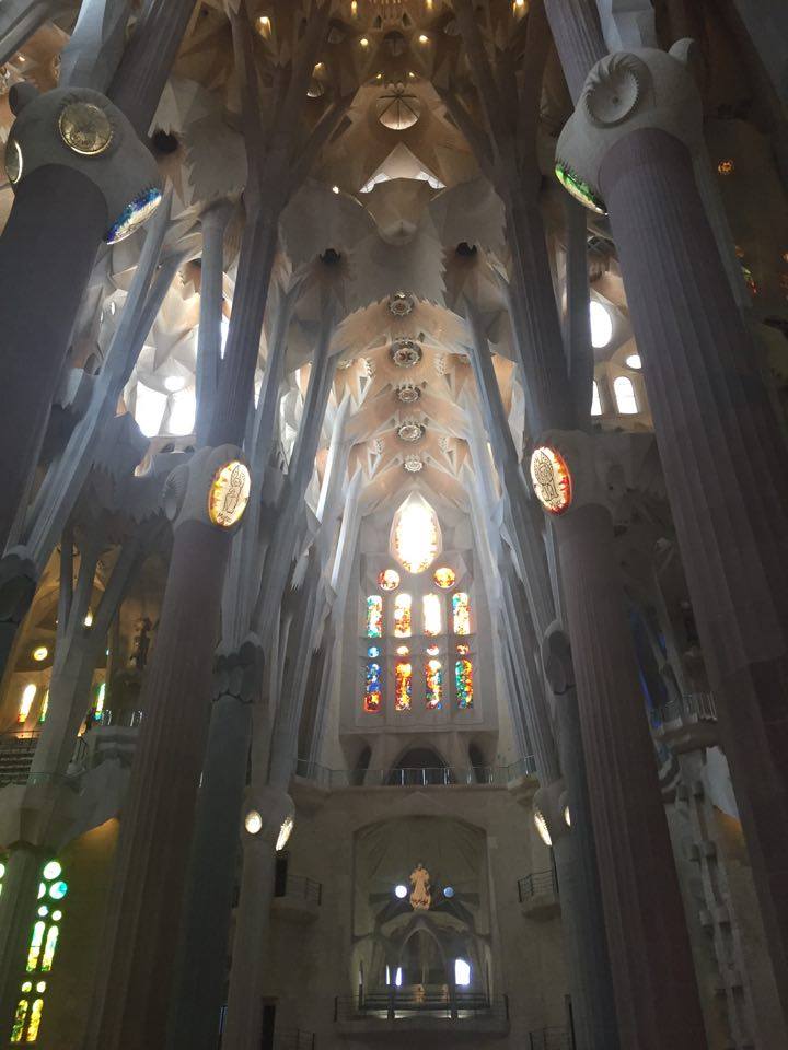 13713273_10153762217042960_1952597178_n